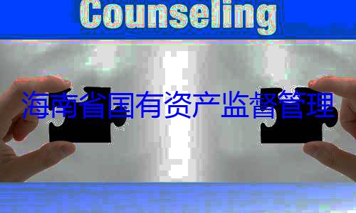 委副书记王理委员会党资产监督管海南省国有查调查有福接受审